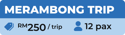 Boat Trip Price at Merrine Forest City